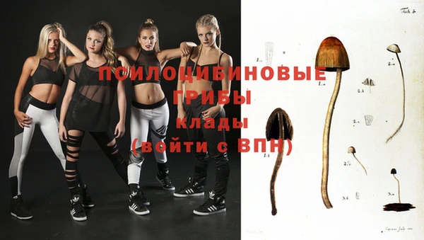 соль ск Галич