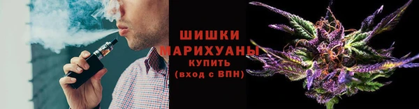 гидра Покровск