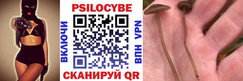 hydra ссылка  Красноуральск  Псилоцибиновые грибы прущие грибы 